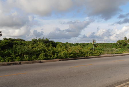 Blog_Pricing_Kirtons