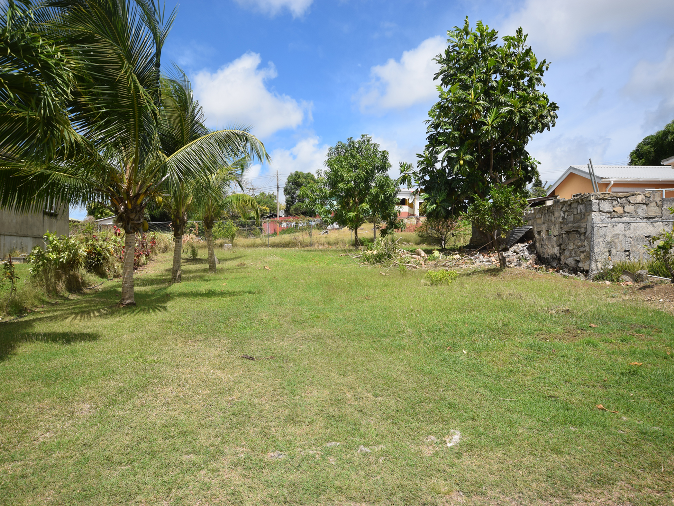 St. Peter or St. James?