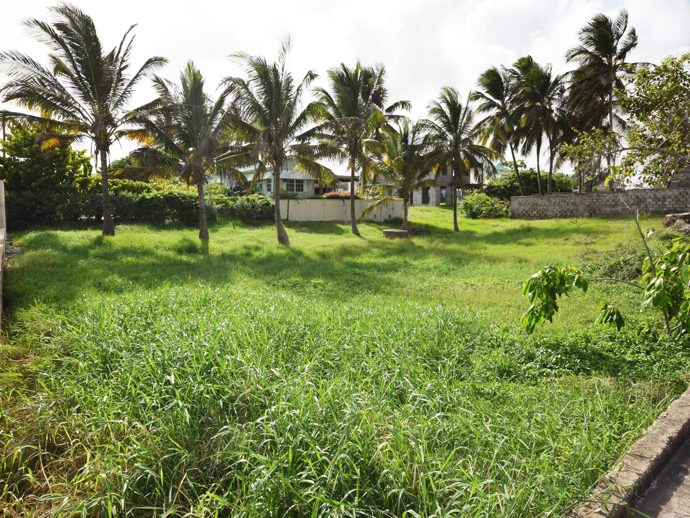 Is St. Philip where you envision your dream home?